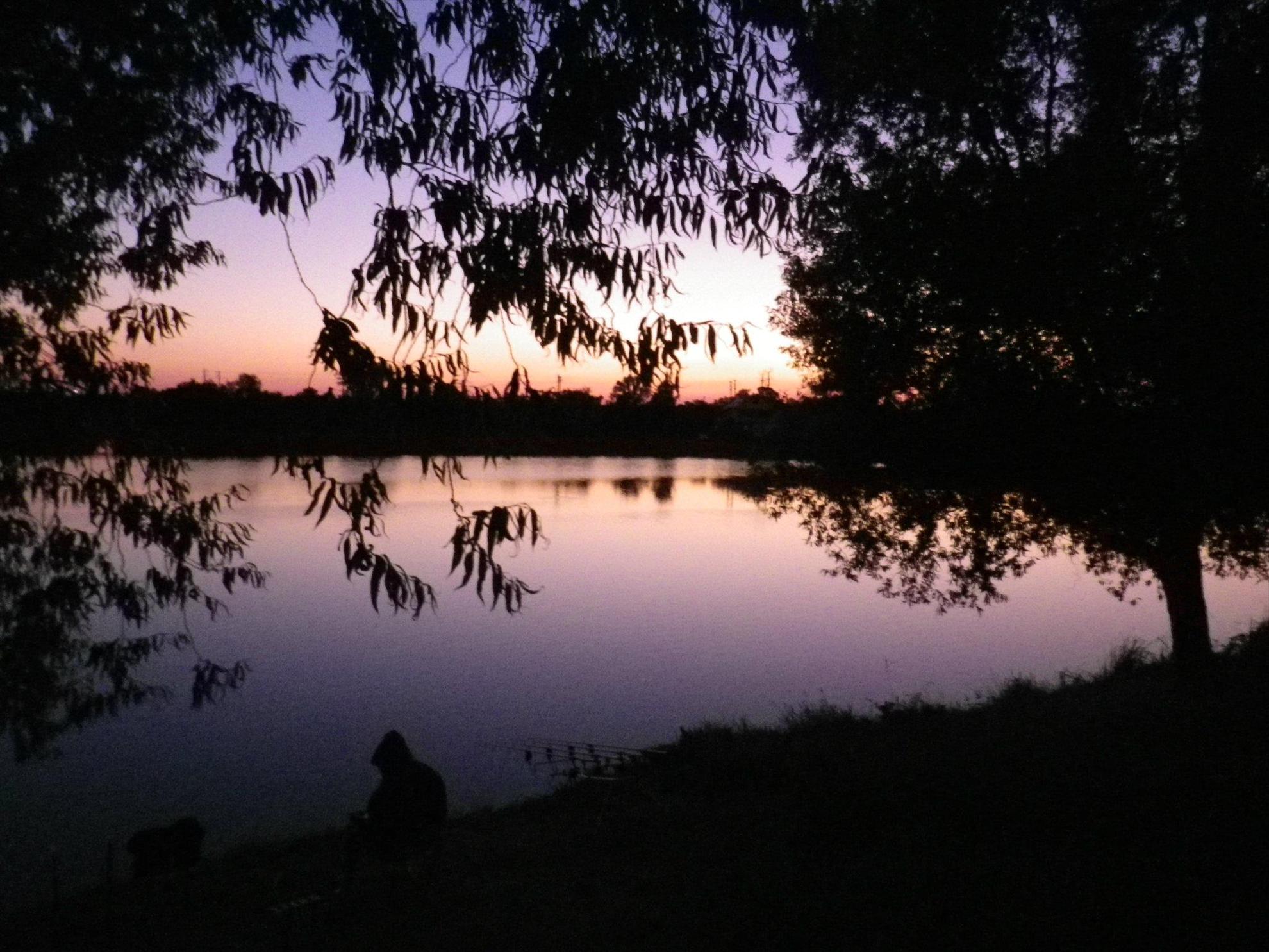 fsh - 178532462813493747875350737804o.jpg